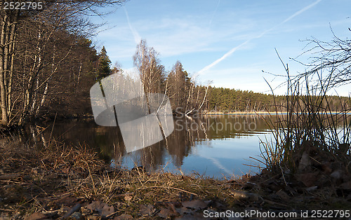 Image of Spring landscape