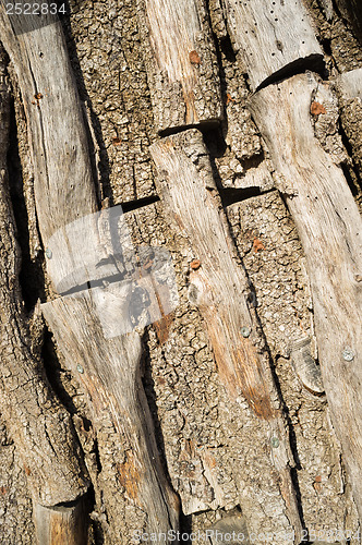 Image of Logs inside a charcoal kiln