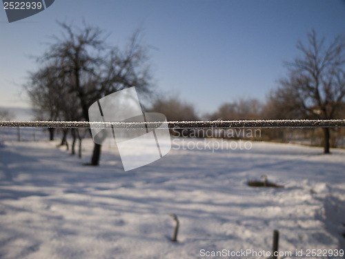 Image of Wire crystals