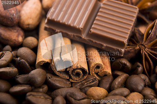 Image of chocolate with coffee beans, spices and cacao