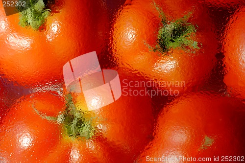 Image of tomatoes