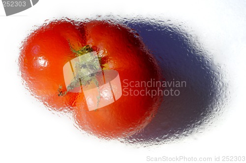 Image of tomato