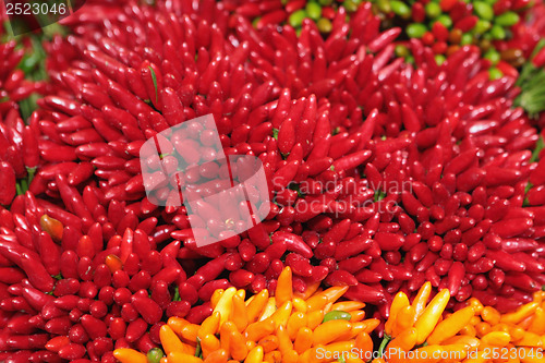 Image of Italian chillies