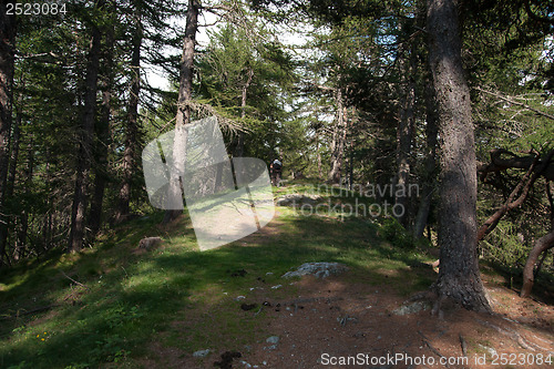 Image of Hiking in natural park in Italy