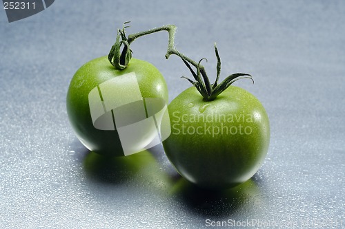 Image of two green tomatoes