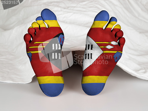 Image of Feet with flag