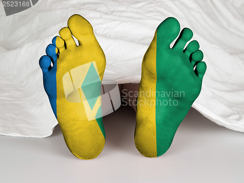 Image of Feet with flag