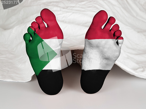 Image of Feet with flag