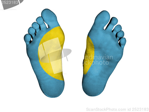 Image of Feet with flag