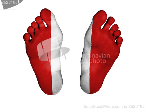 Image of Feet with flag