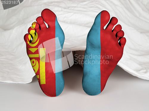 Image of Feet with flag