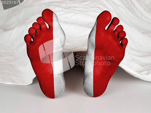 Image of Feet with flag