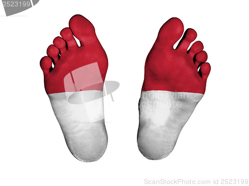 Image of Feet with flag