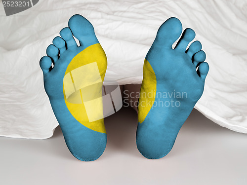 Image of Feet with flag