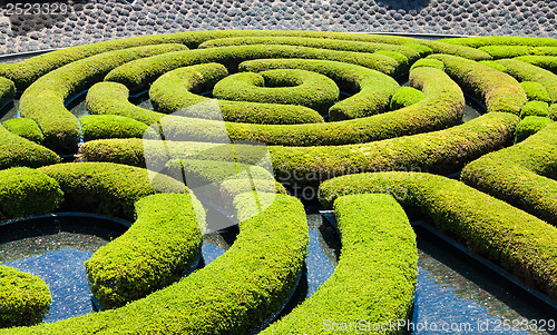 Image of Garden Maze