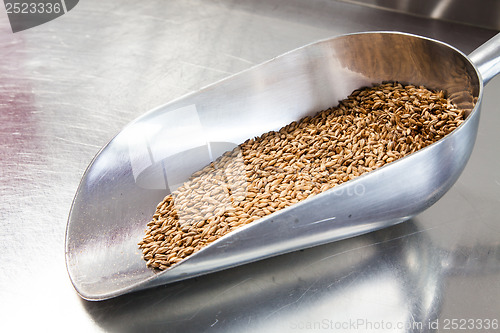 Image of Beer Malt