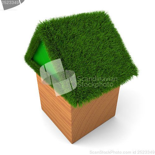 Image of House with green roof