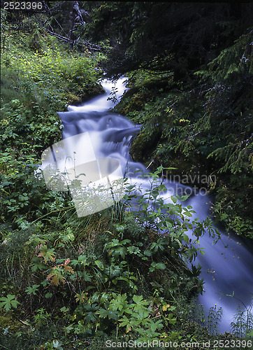 Image of Mountain stream 