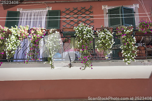 Image of Beautiful flowers in the park of Cinque Terre 