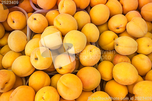 Image of Fresh natural apricots