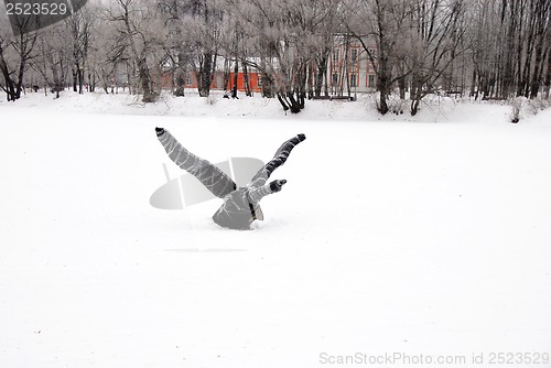 Image of Winter lake with a wrapped bird