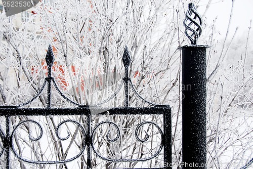 Image of Winter iron fence