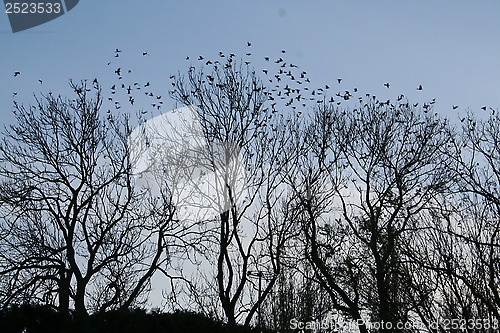 Image of Autumn sky