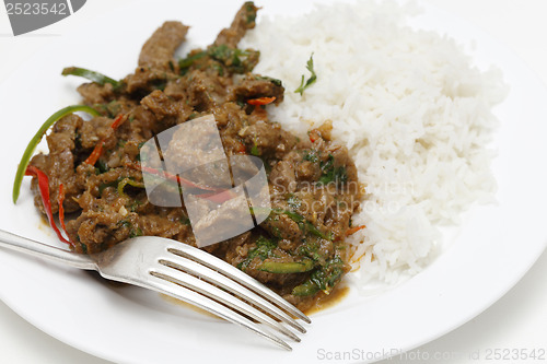 Image of Spiced lamb curry meal with fork
