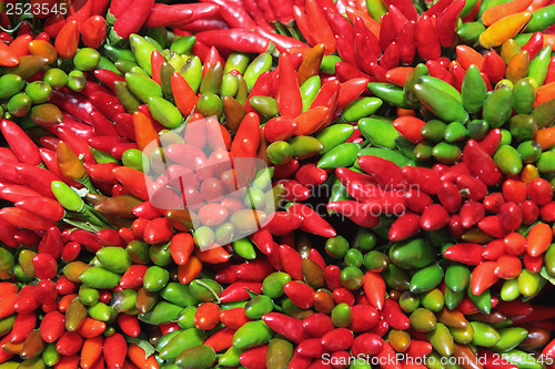 Image of Chilli pepper abstract