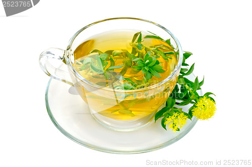 Image of Herbal tea with flowers Rhodiola rosea in a glass cup