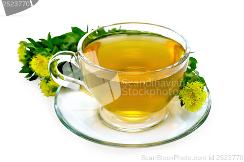 Image of Herbal tea with a bouquet of Rhodiola rosea