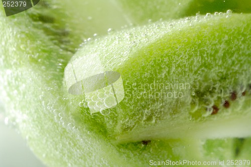 Image of piece of kiwi fruit with bubbles