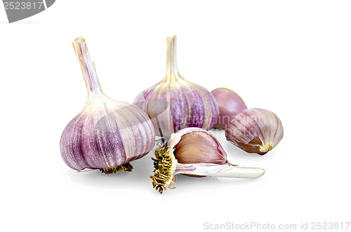 Image of Garlic whole and cloves