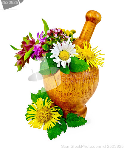 Image of Herbs and flowers in a mortar and table