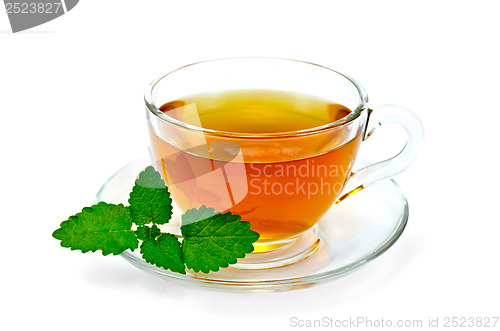 Image of Herbal tea with melissa