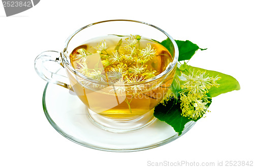 Image of Herbal tea from linden flowers in a cup