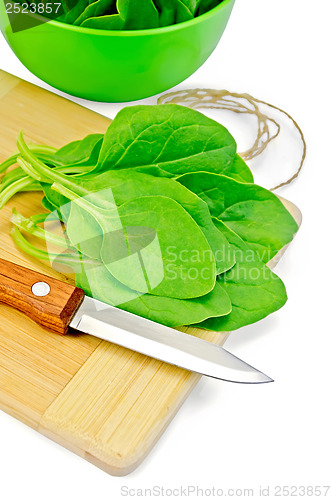 Image of Spinach on the board with a bowl