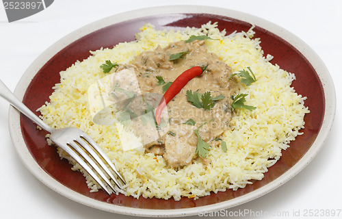 Image of Chicken pasanda on saffron rice side view