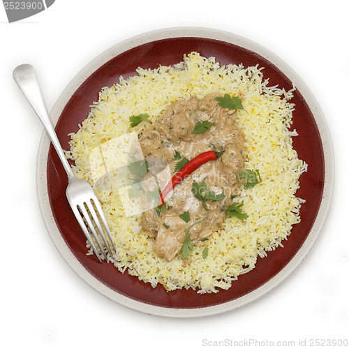 Image of Chicken pasanda curry from above