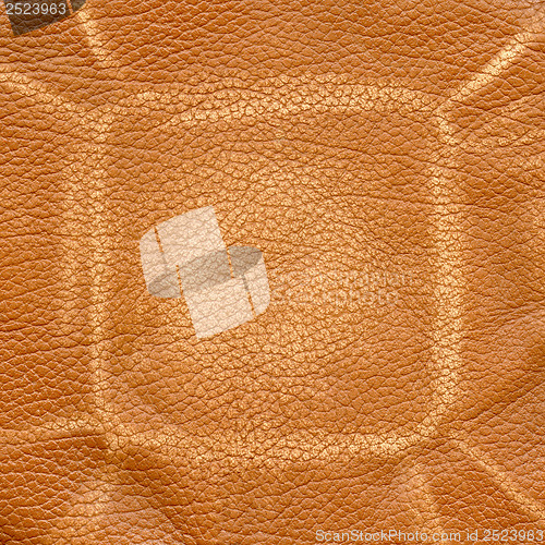 Image of Brown leather