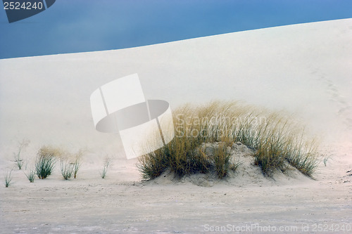 Image of White Sands