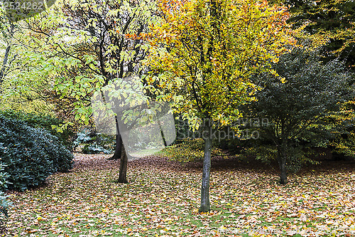 Image of Autumn colours