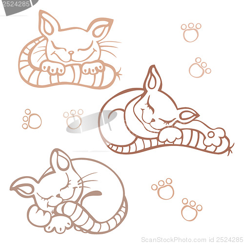 Image of Sleeping cats.