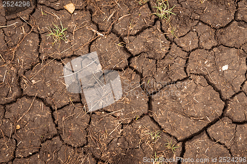 Image of Closeup of dry soil texture