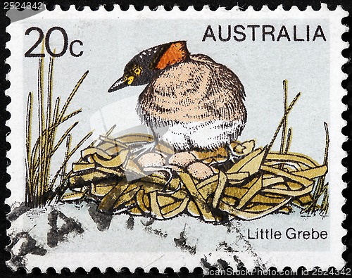 Image of Little Grebe Stamp