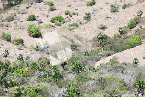 Image of Komodo Island