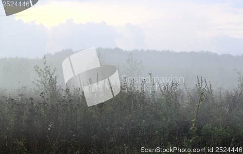 Image of Fog over a field of evening