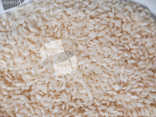Image of Rice food