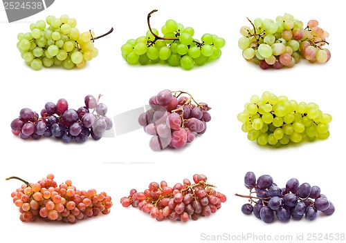 Image of Grapes