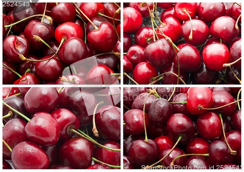 Image of Cherry